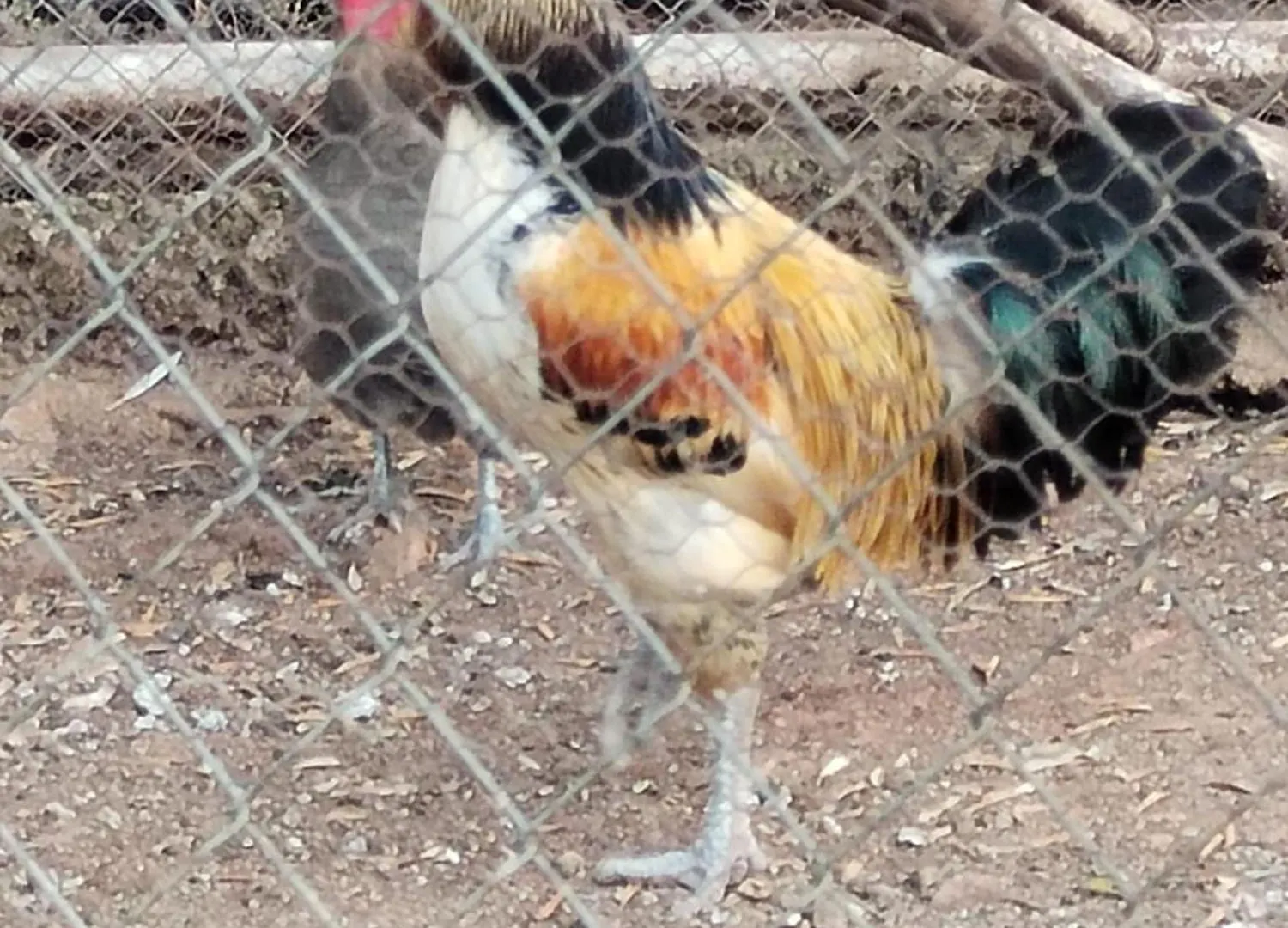 Finca La Portilla Aroche Сasa de vacaciones